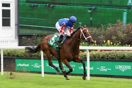 Aunt Pearl thoroughbred racehorse